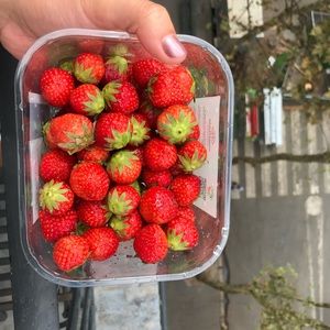 Meet your Posher, Emma